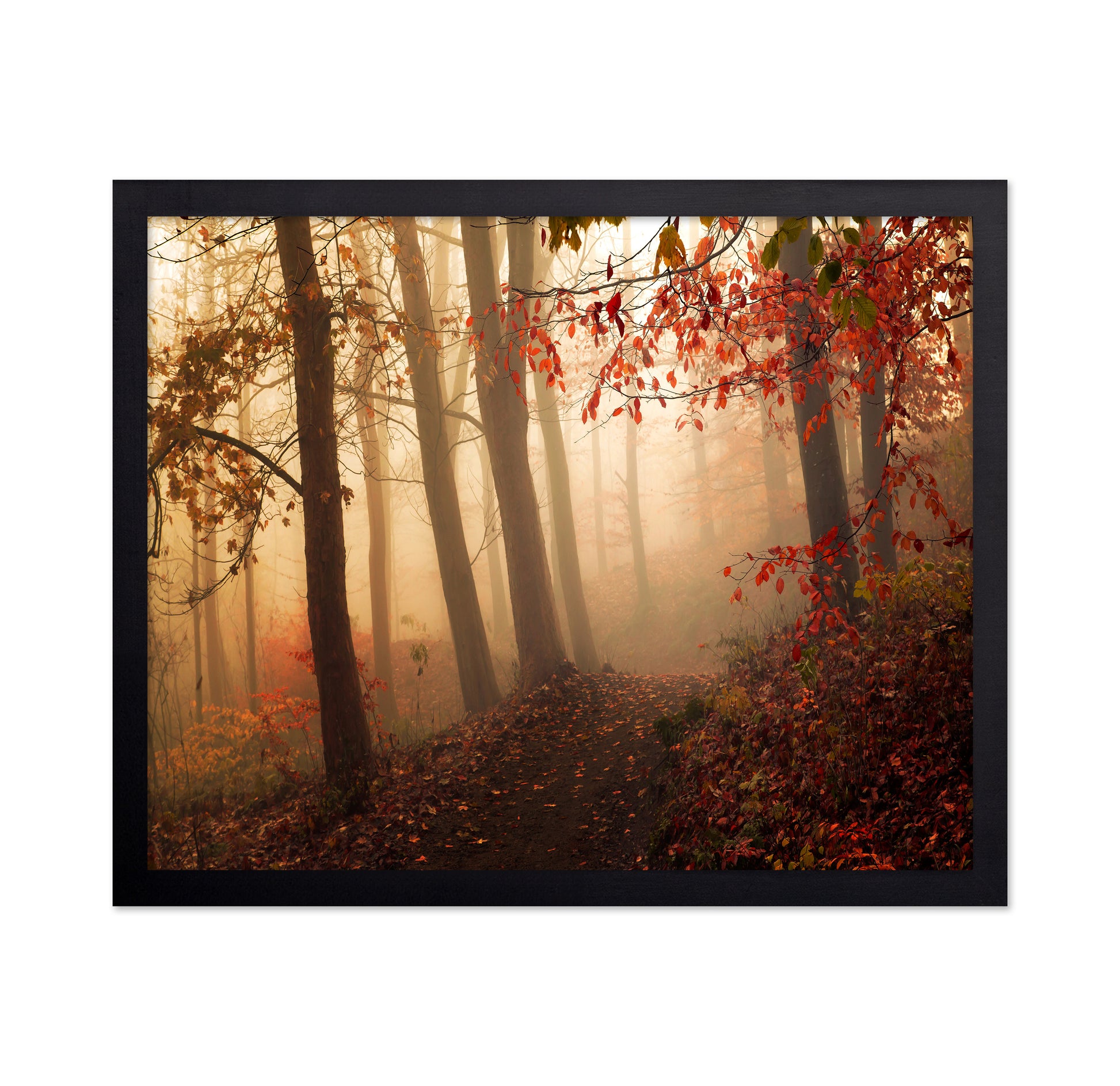 Autumn Path