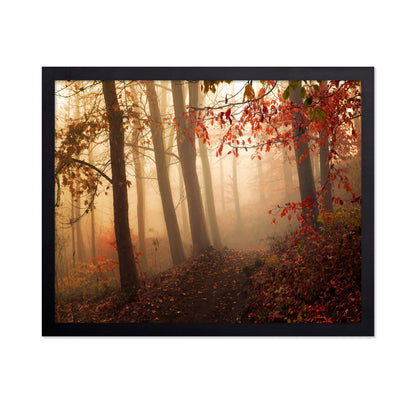 Autumn Path