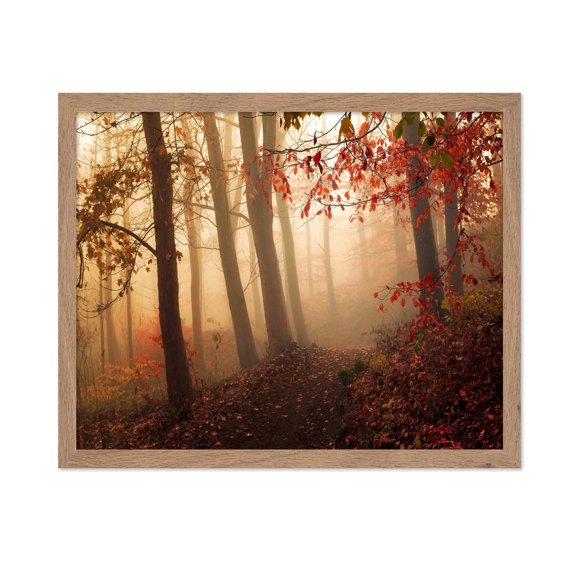 Autumn Path