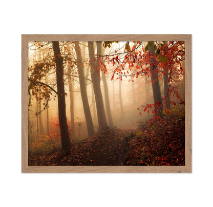 Autumn Path