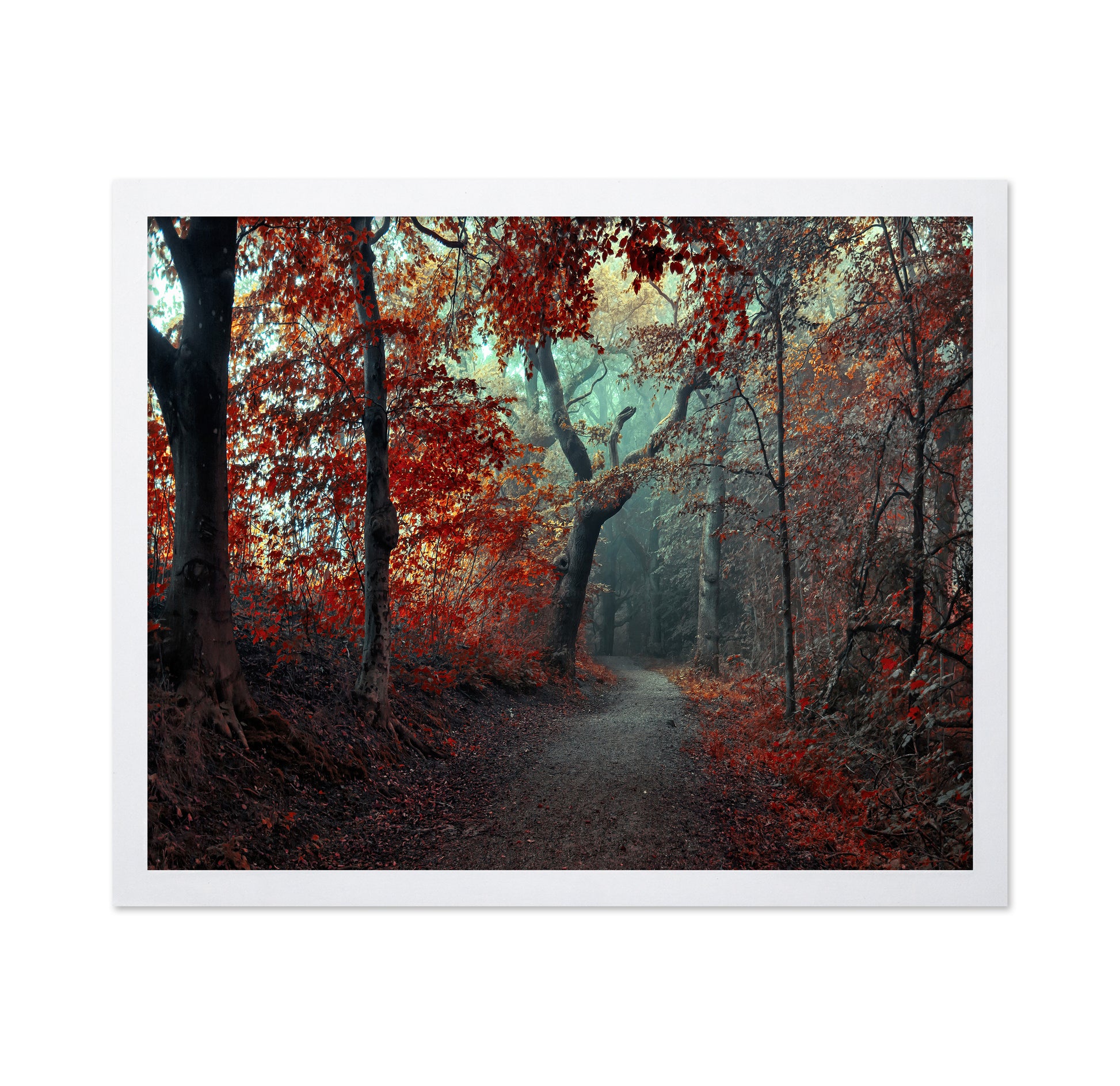The Red Forest