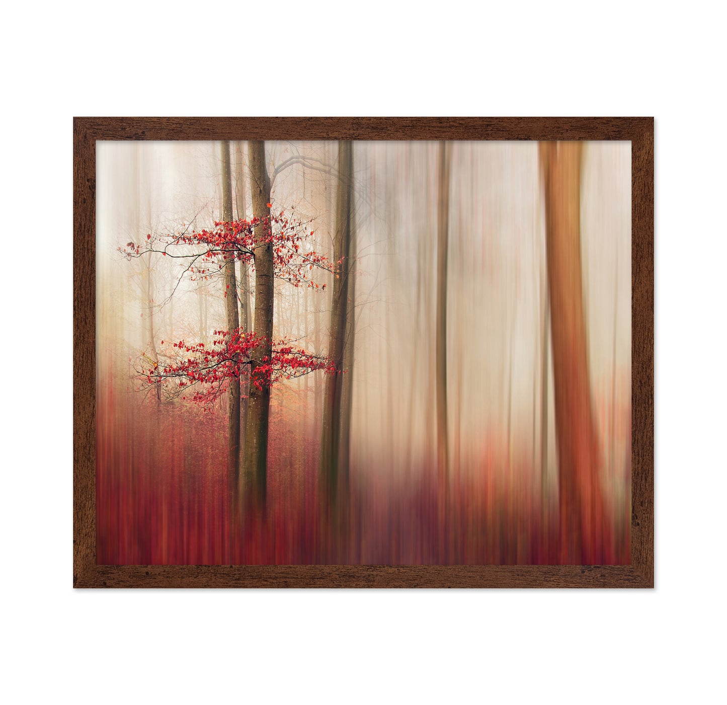 Red Leaves