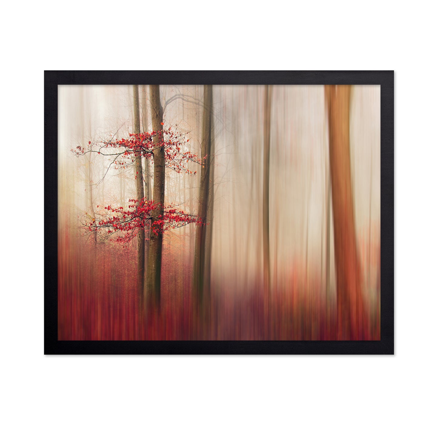 Red Leaves