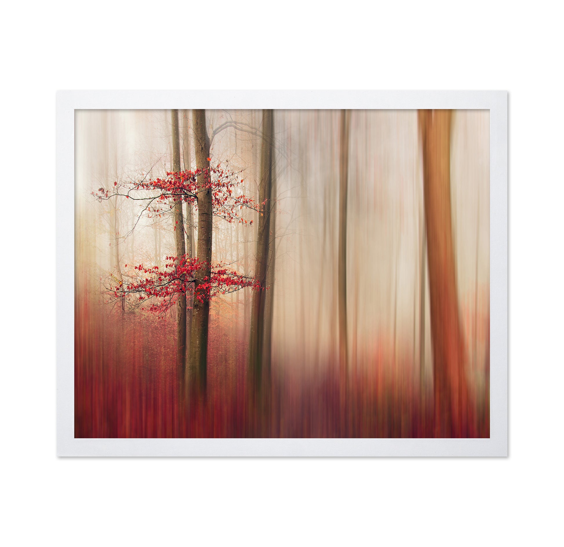 Red Leaves