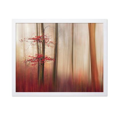 Red Leaves