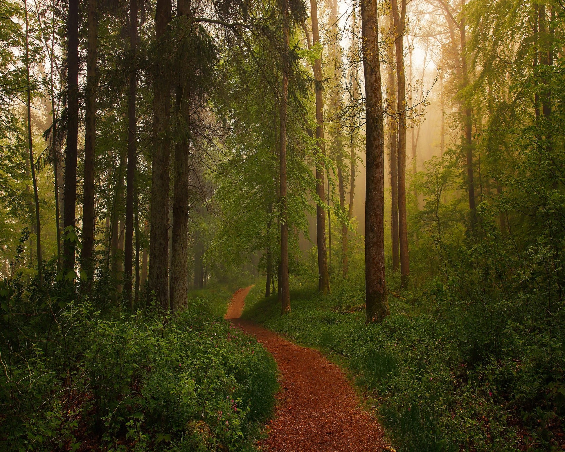 The Red Path