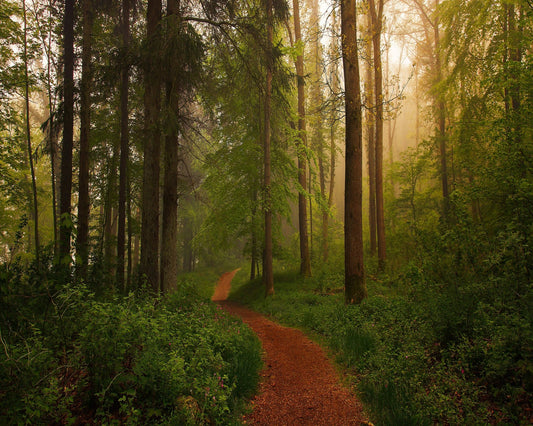The Red Path