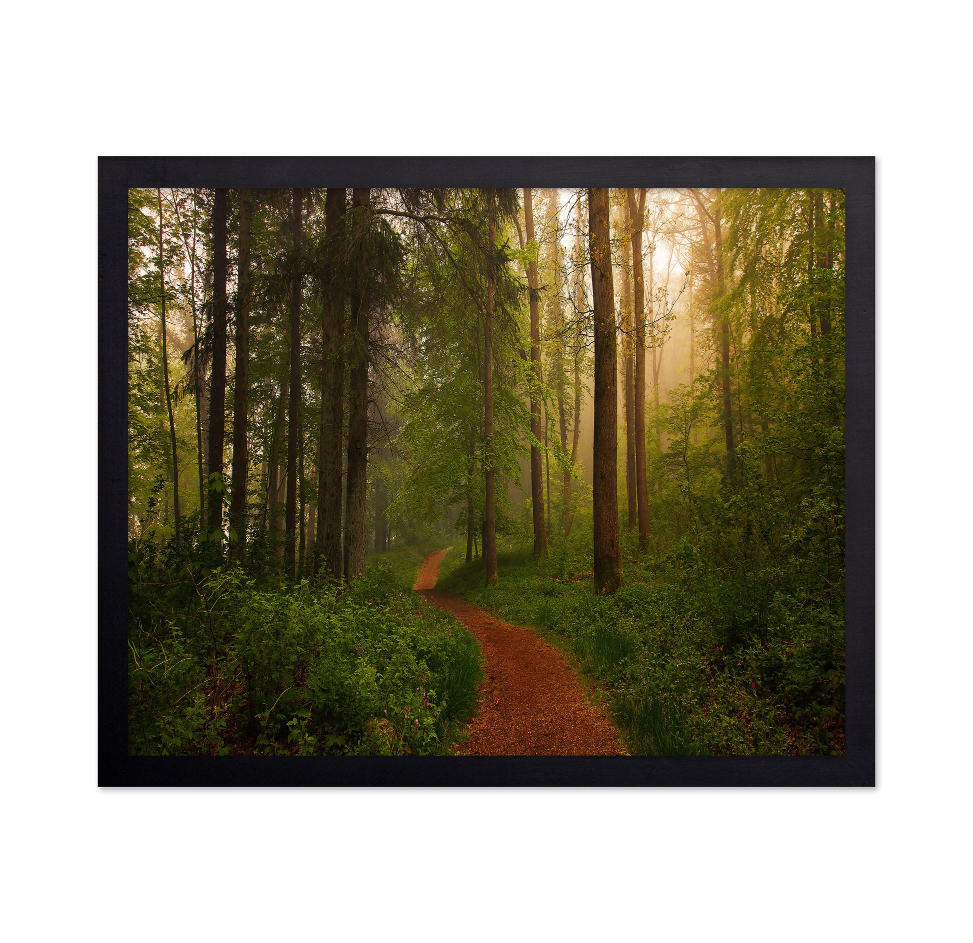 The Red Path