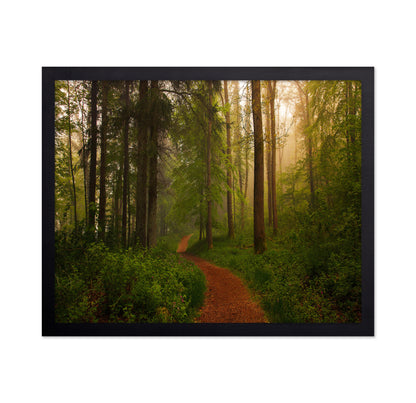 The Red Path