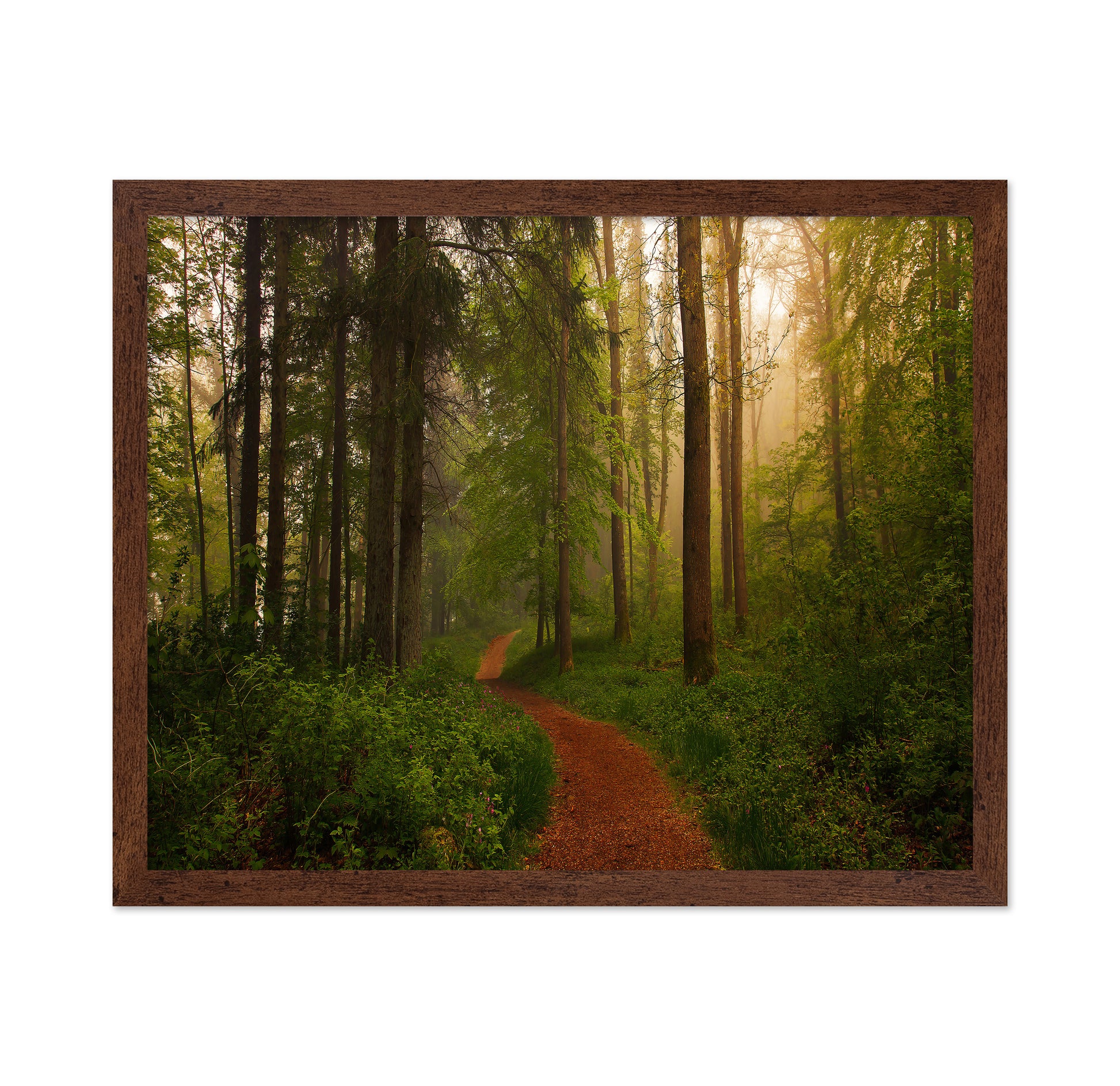 The Red Path