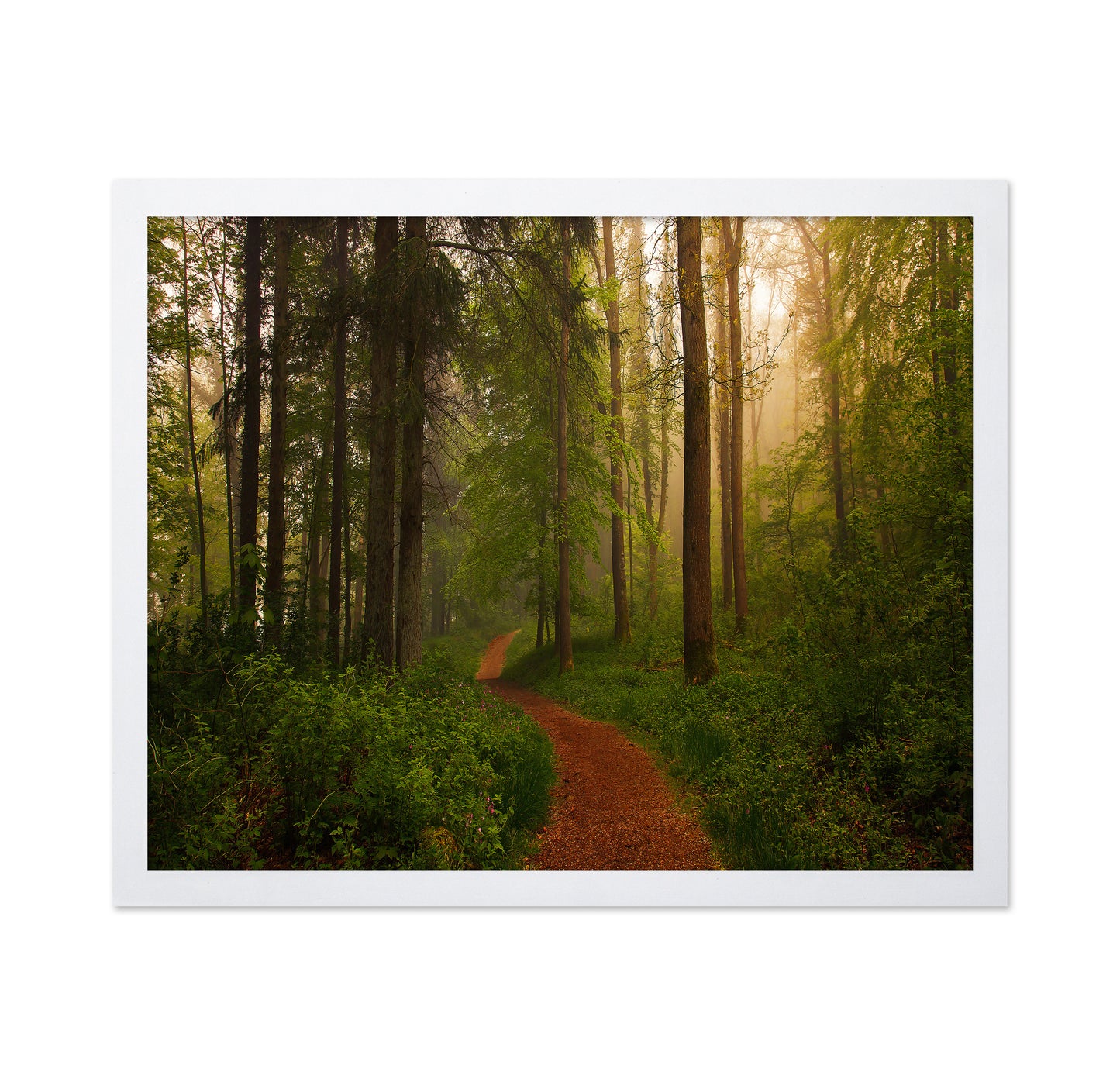 The Red Path