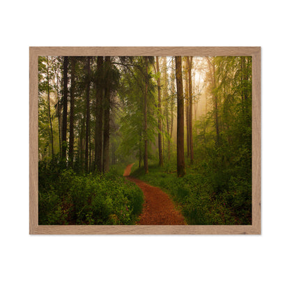 The Red Path