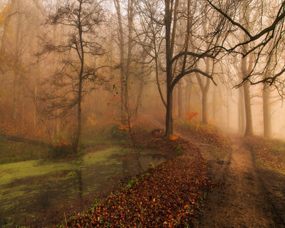 Which Path