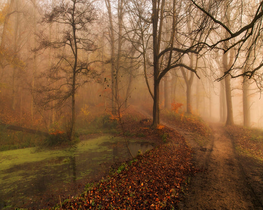 Which Path