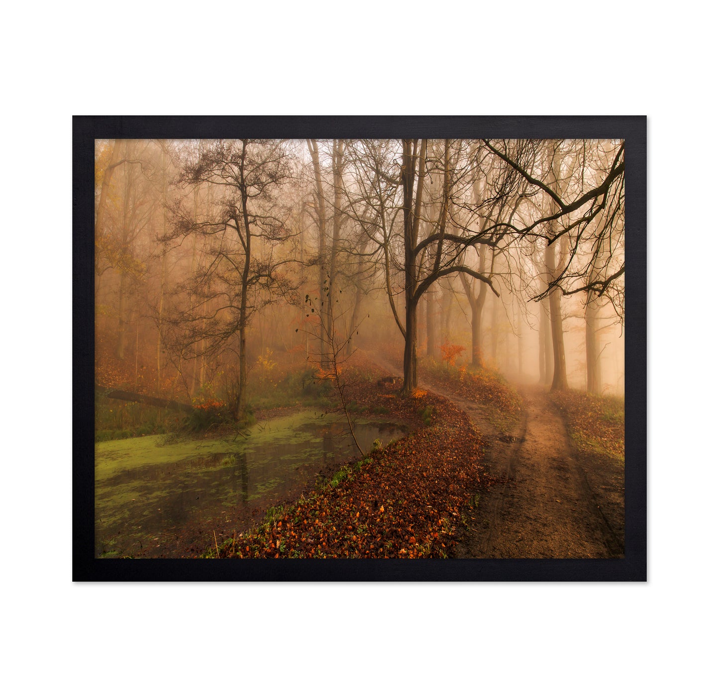 Which Path