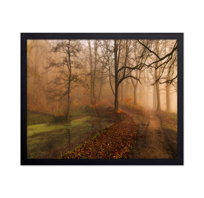 Which Path