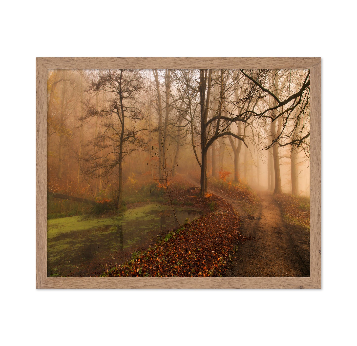 Which Path