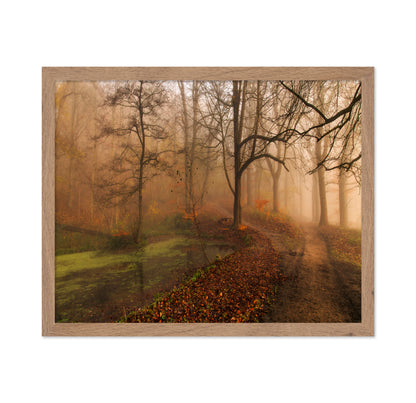 Which Path