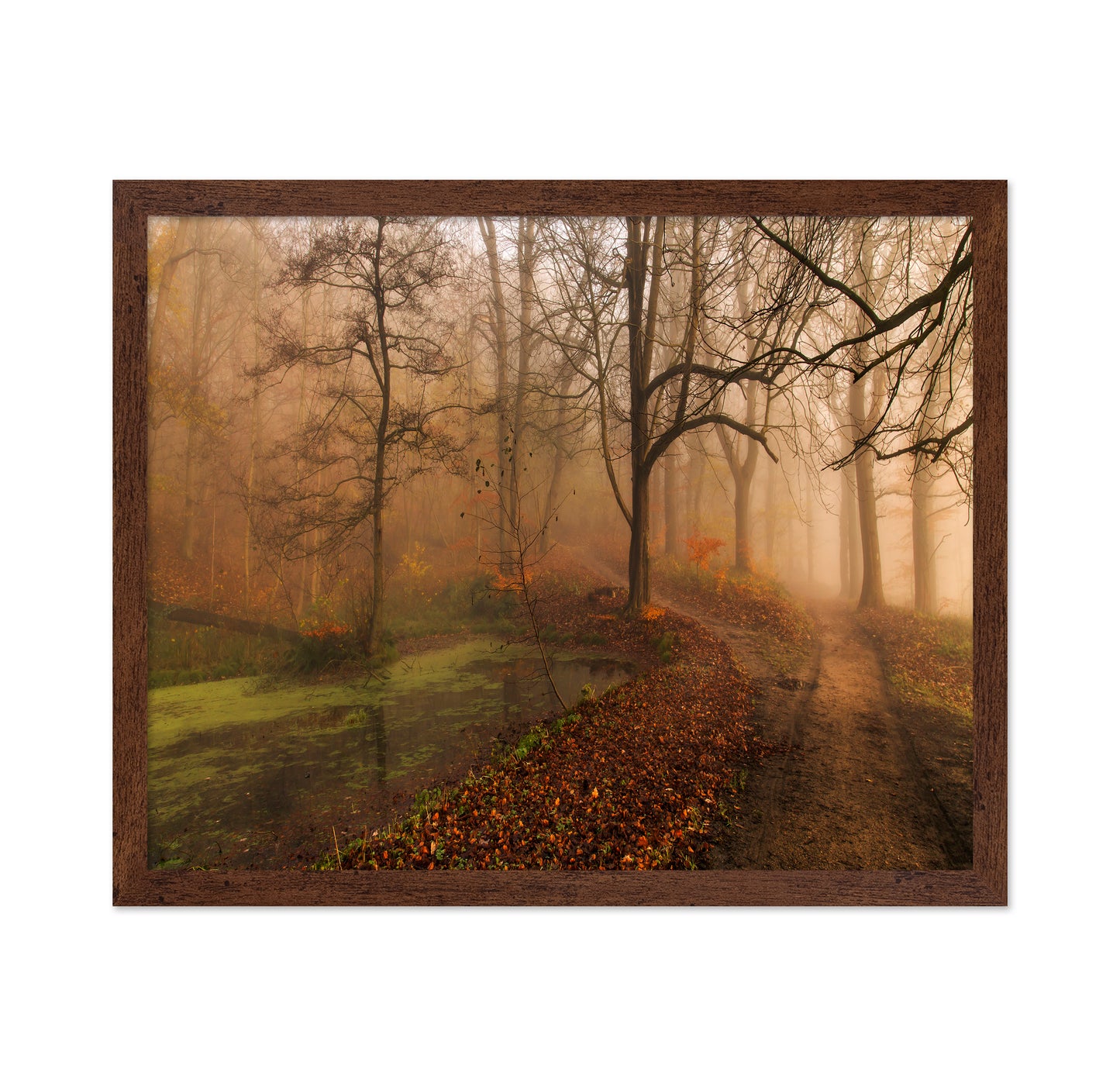 Which Path