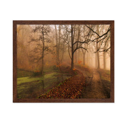 Which Path