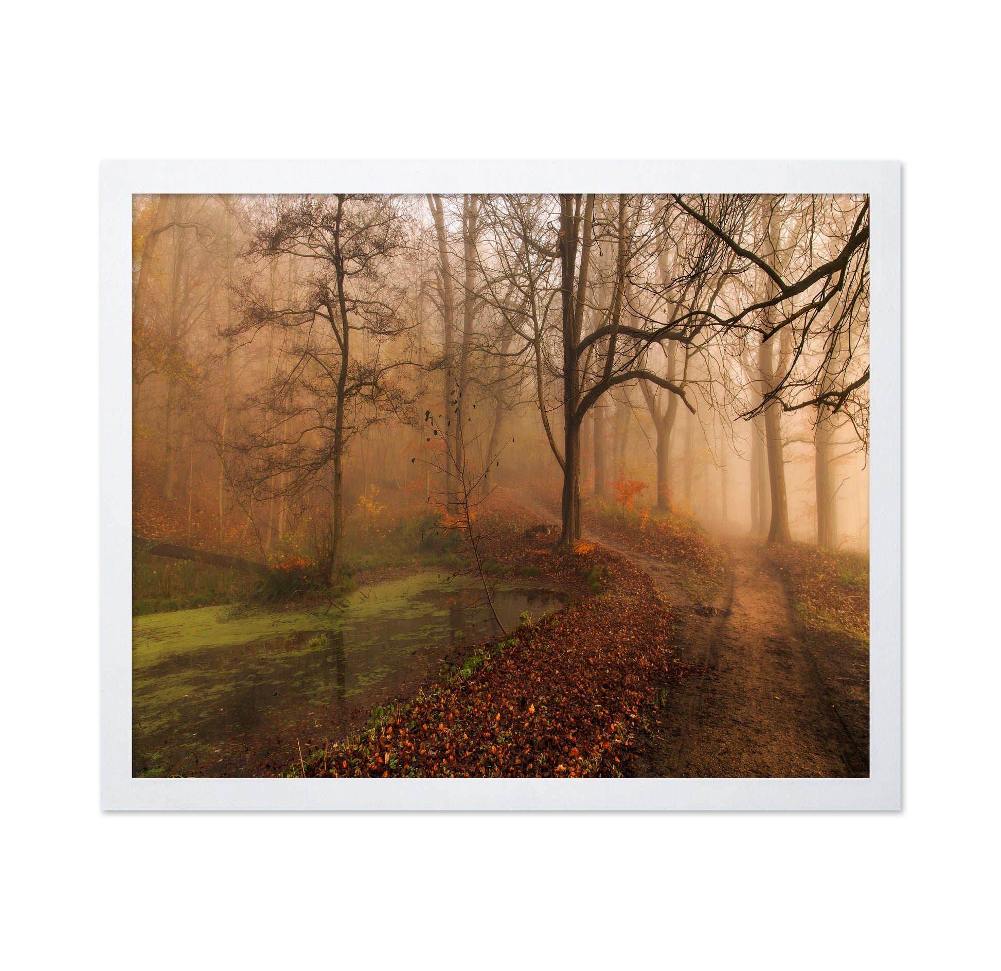 Which Path