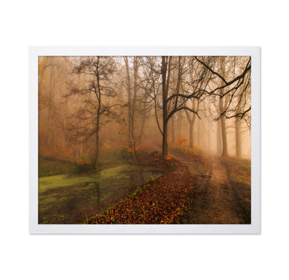 Which Path