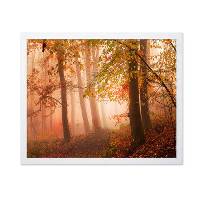 Calm Walk in Colors