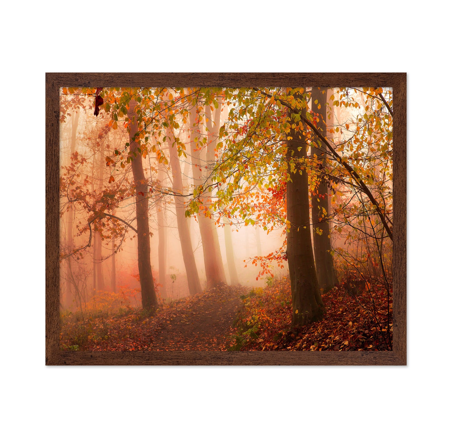 Calm Walk in Colors