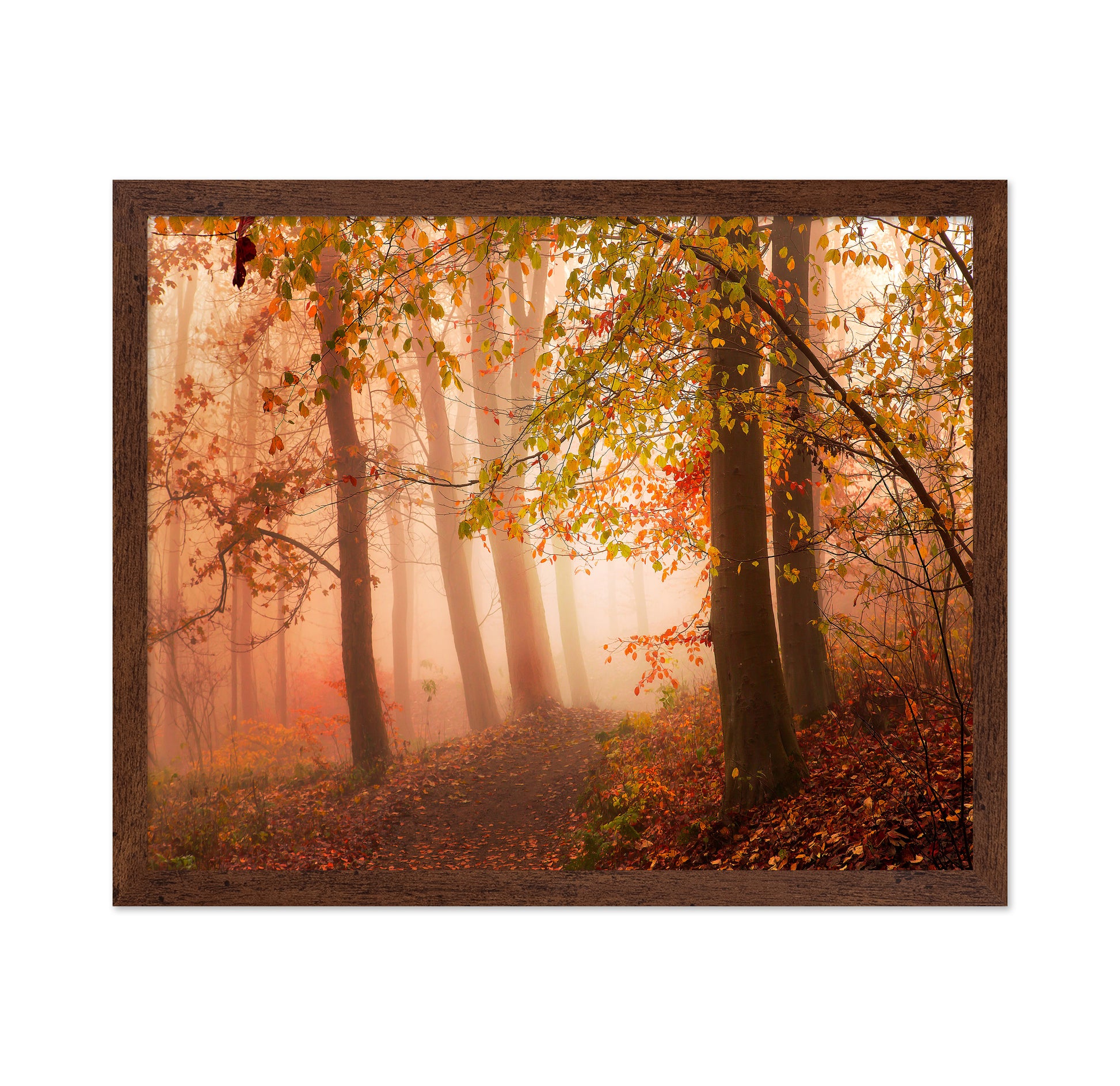 Calm Walk in Colors