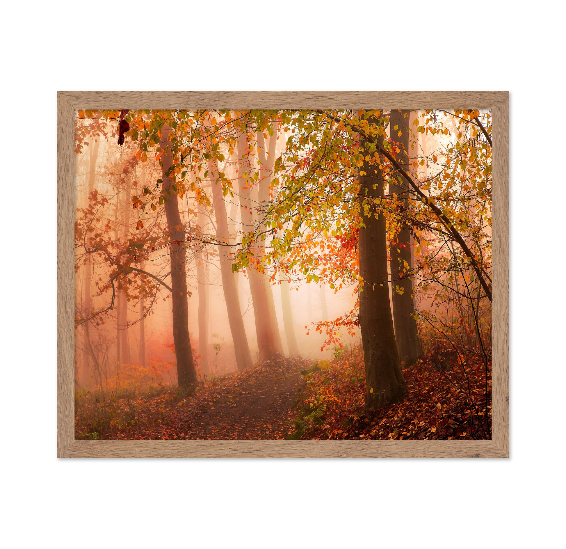 Calm Walk in Colors
