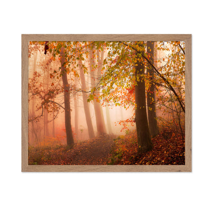 Calm Walk in Colors