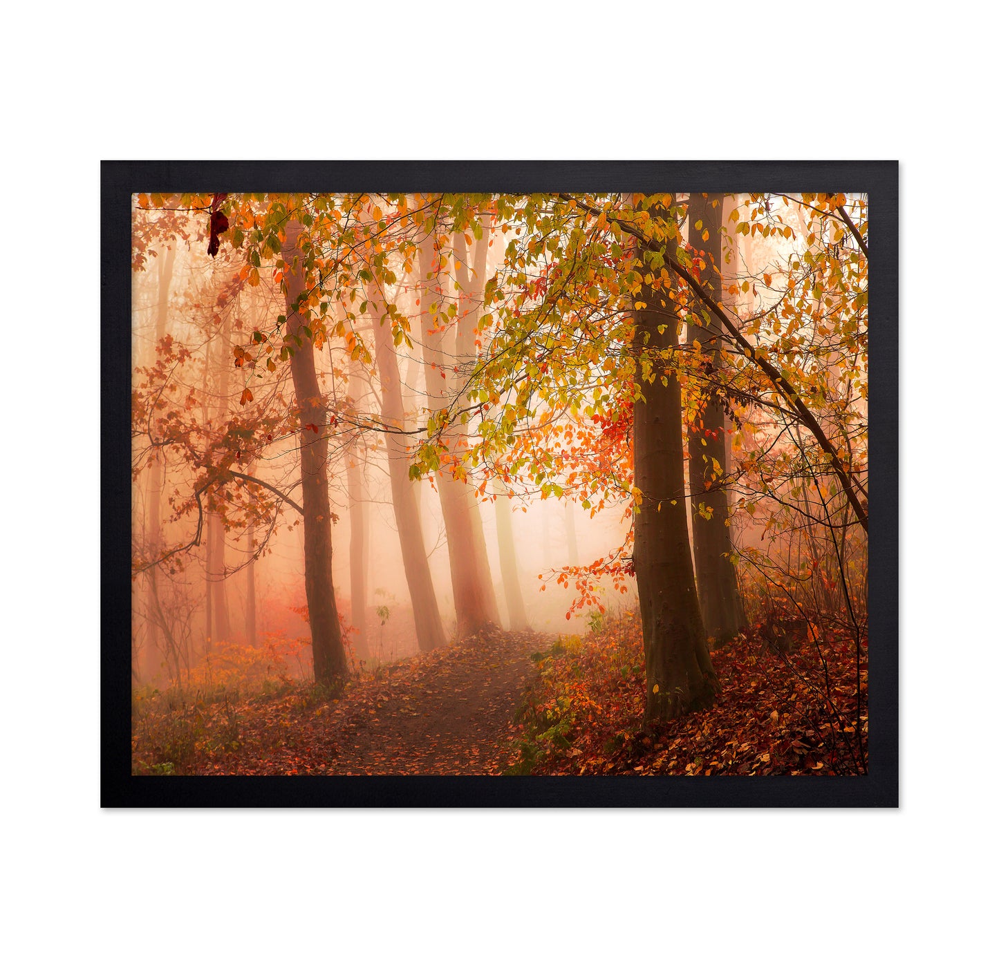 Calm Walk in Colors