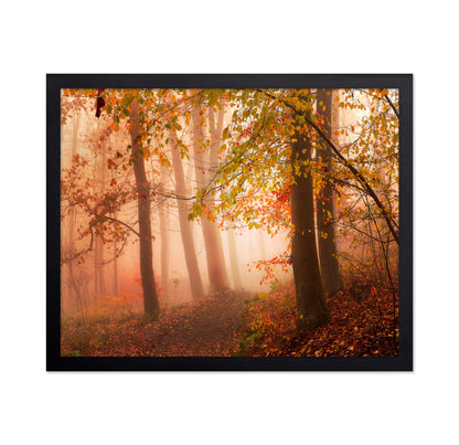 Calm Walk in Colors