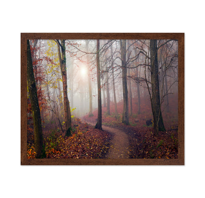 Autumn Sun