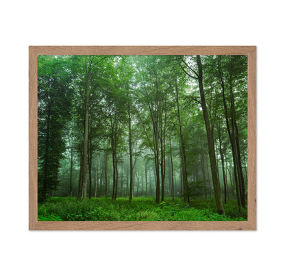 Forest View No 2