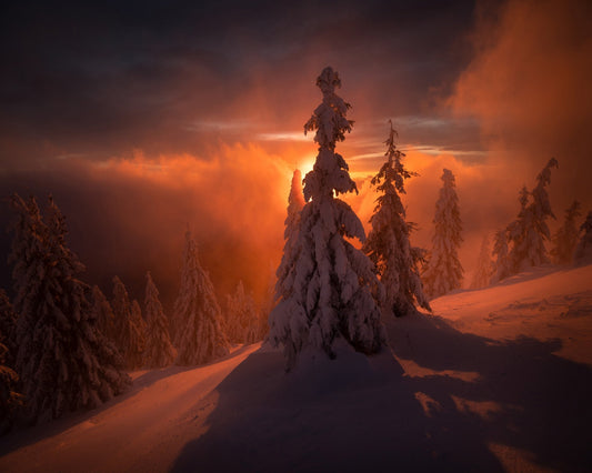 Reddish Glow
