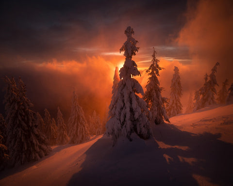 Reddish Glow