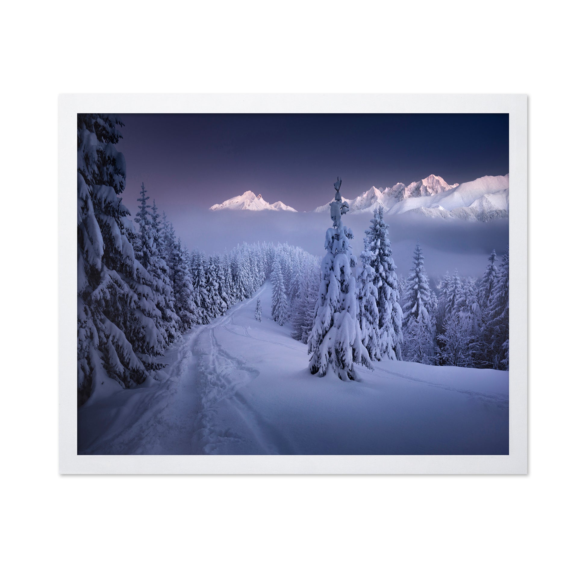 In the Winter