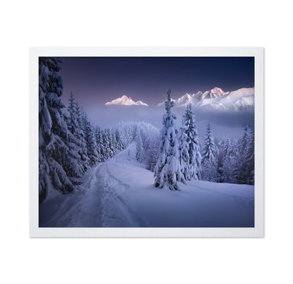 In the Winter