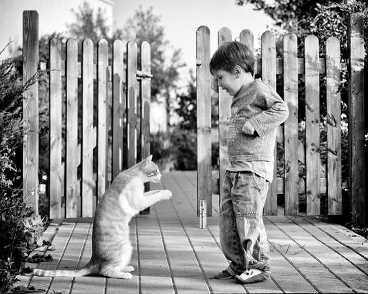Boy Playing With Cat