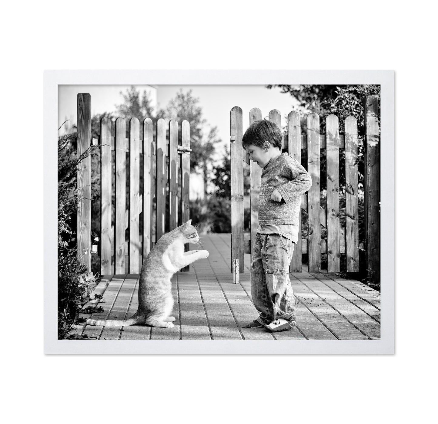 Boy Playing With Cat