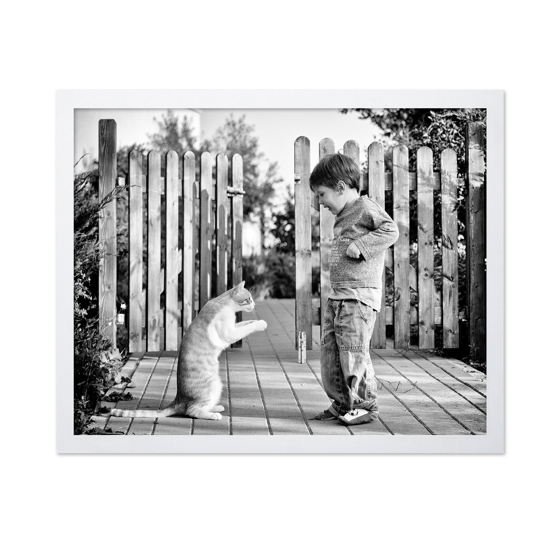 Boy Playing With Cat