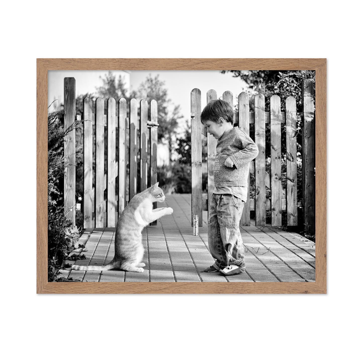 Boy Playing With Cat