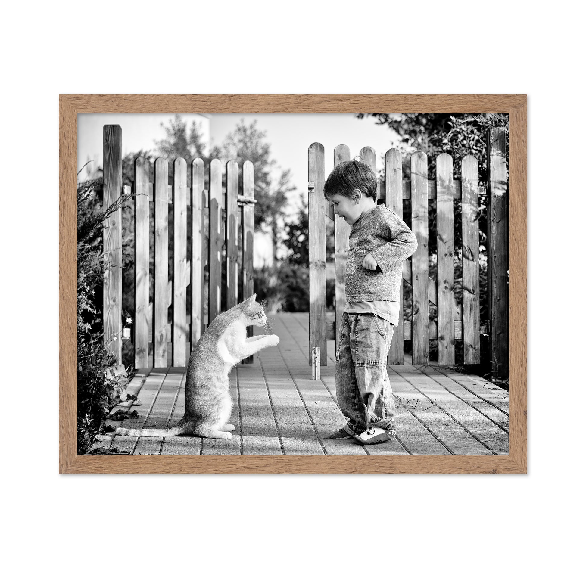 Boy Playing With Cat
