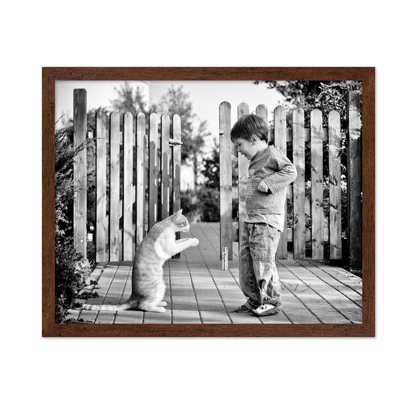 Boy Playing With Cat