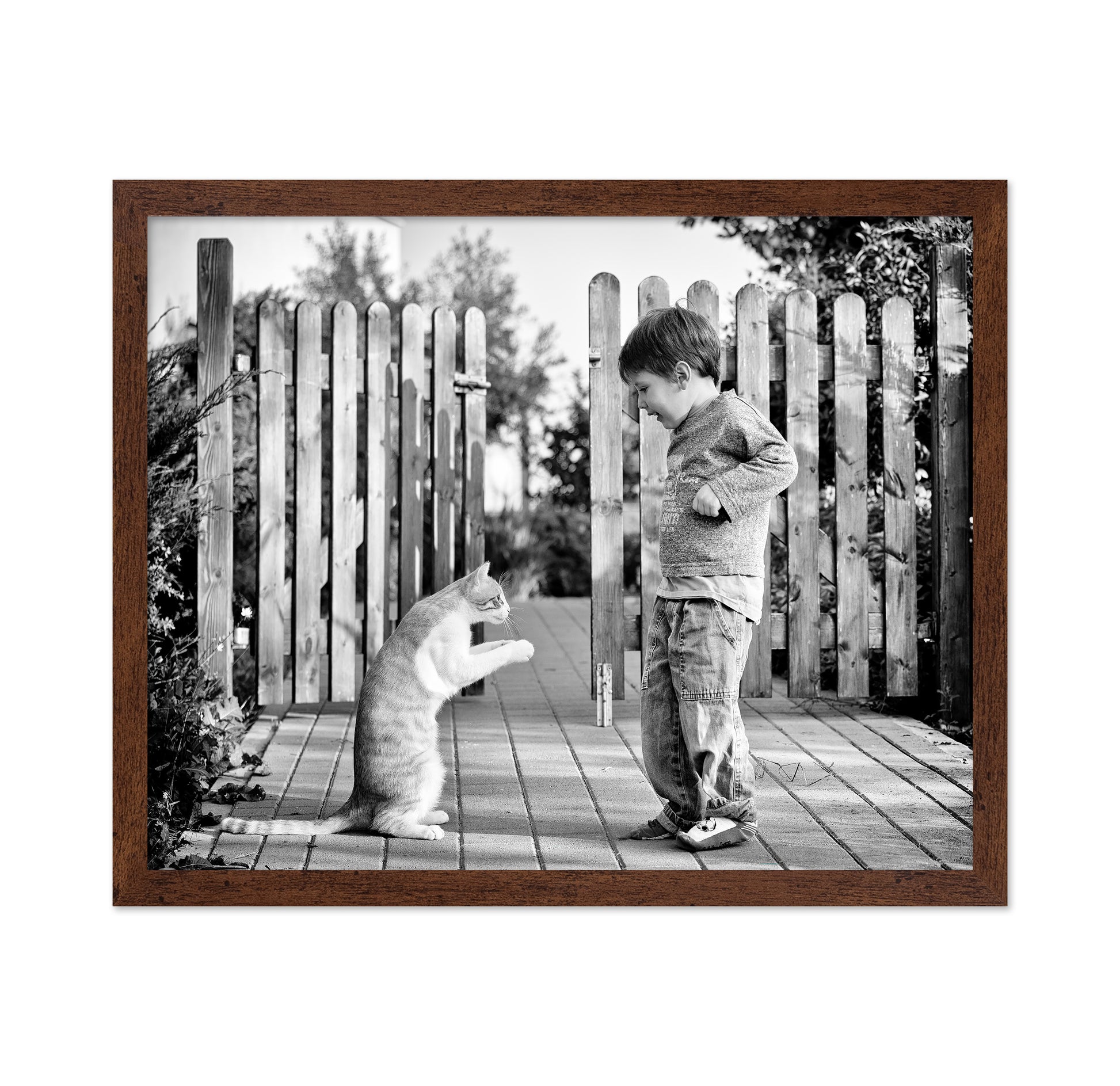 Boy Playing With Cat