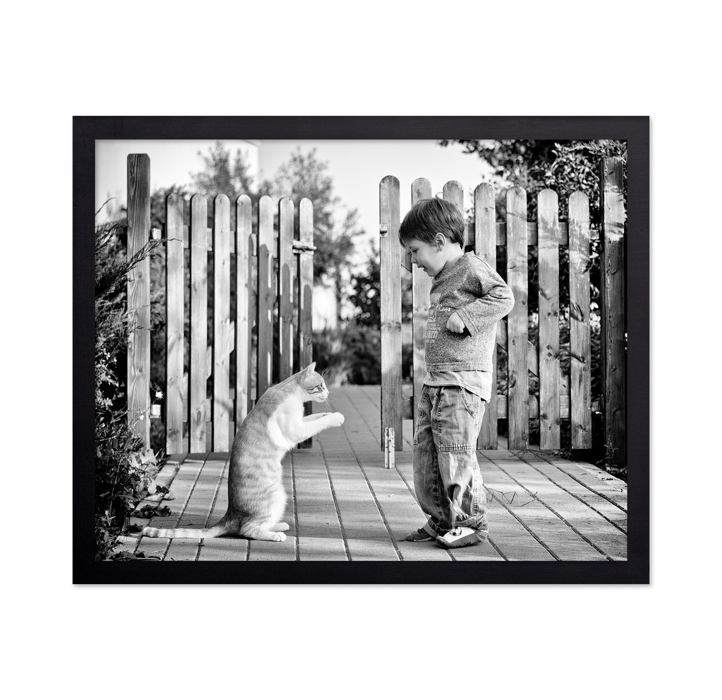 Boy Playing With Cat
