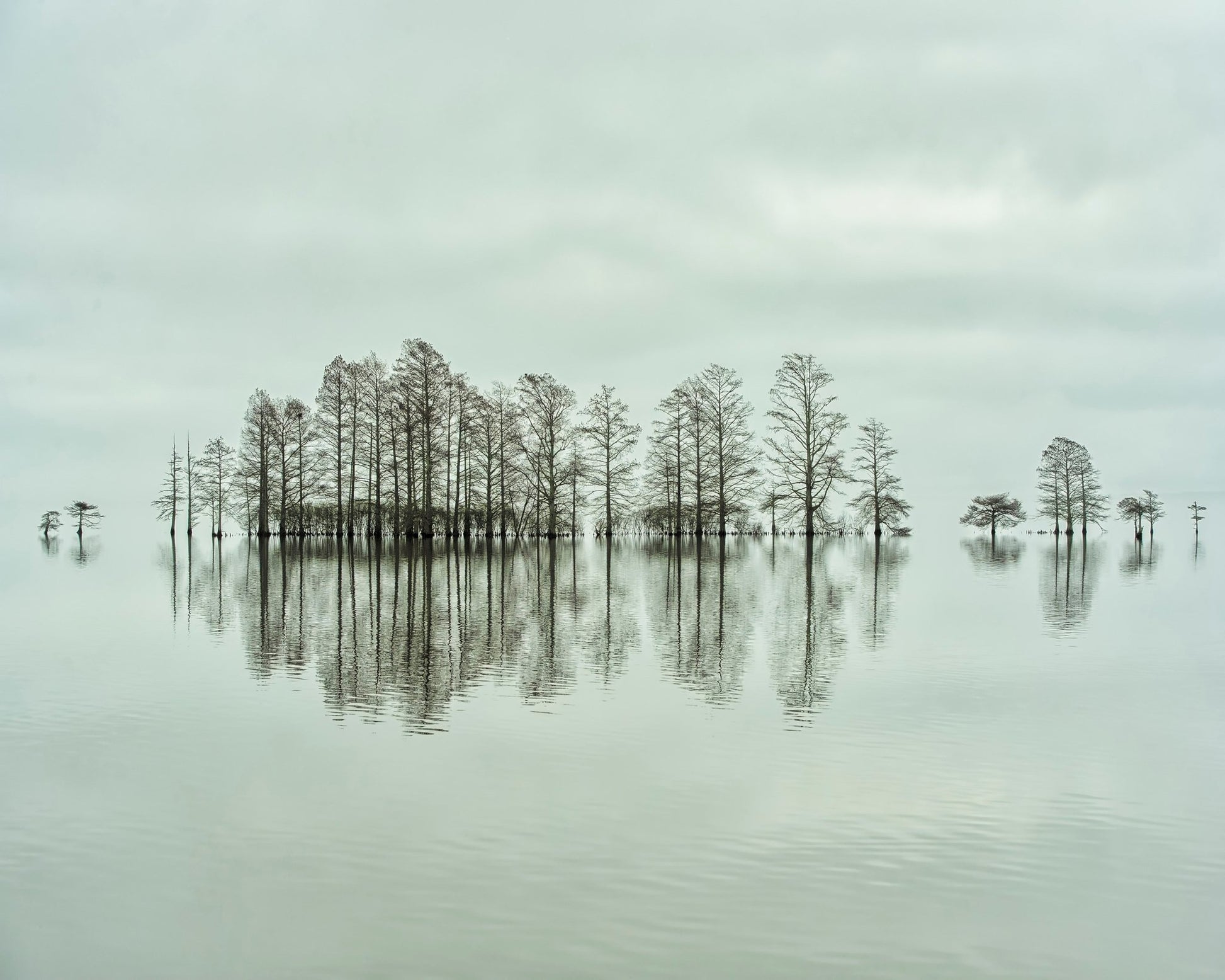 Lake-shore Lineup Beauty