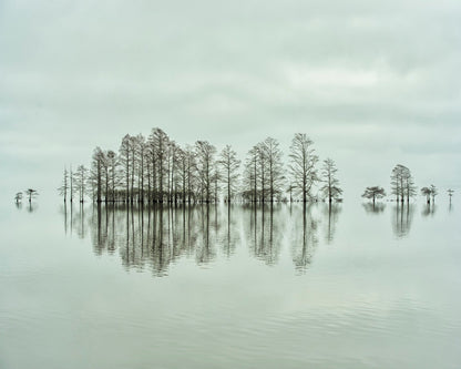 Lake-shore Lineup Beauty