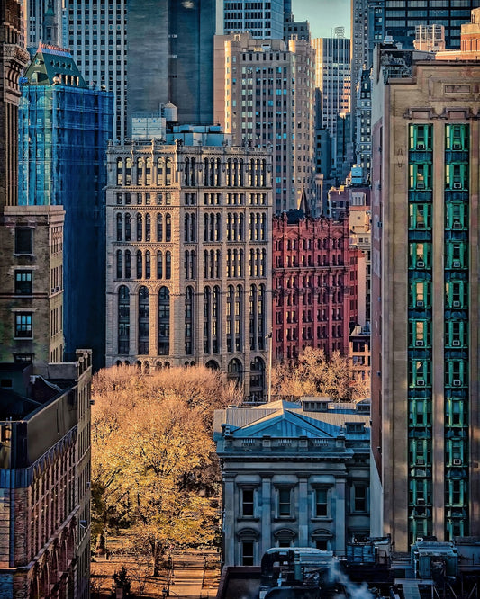 Colours of NY